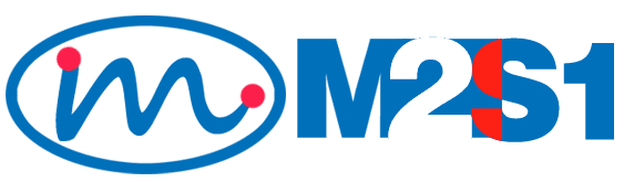 M2S1