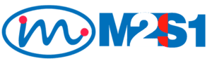 M2S1
